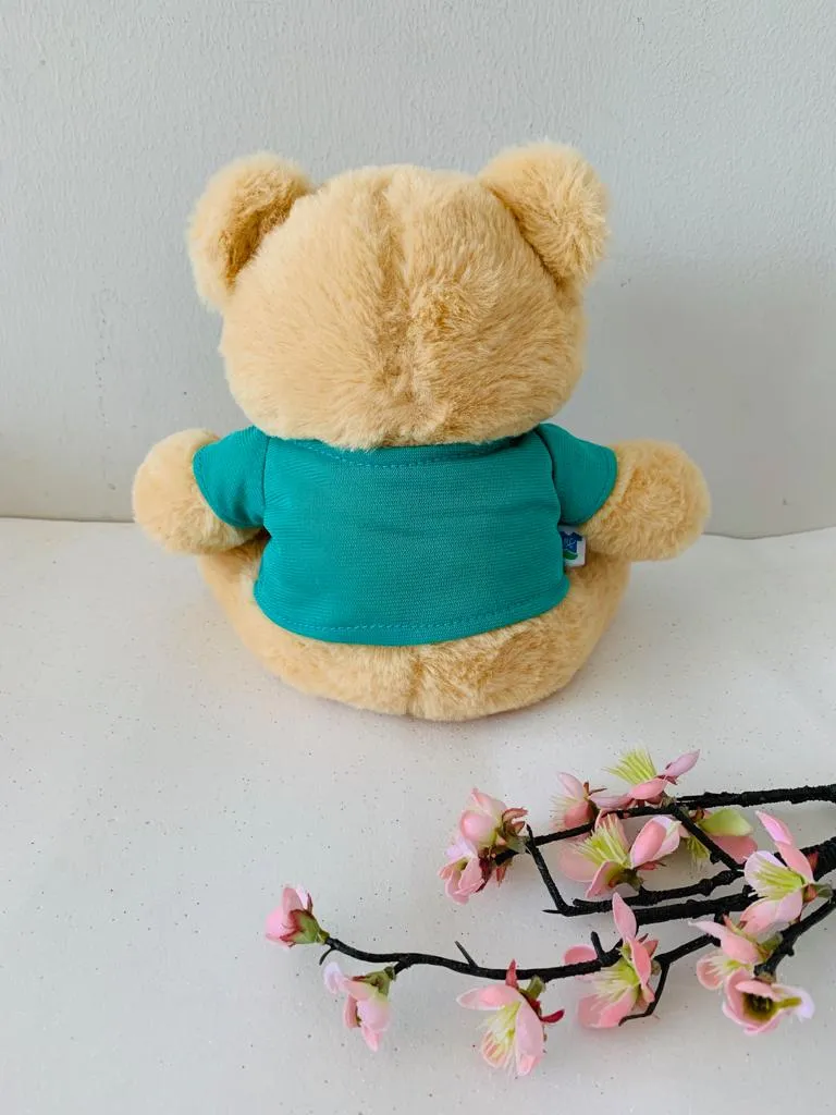 Doctor Bear Teddy Doll