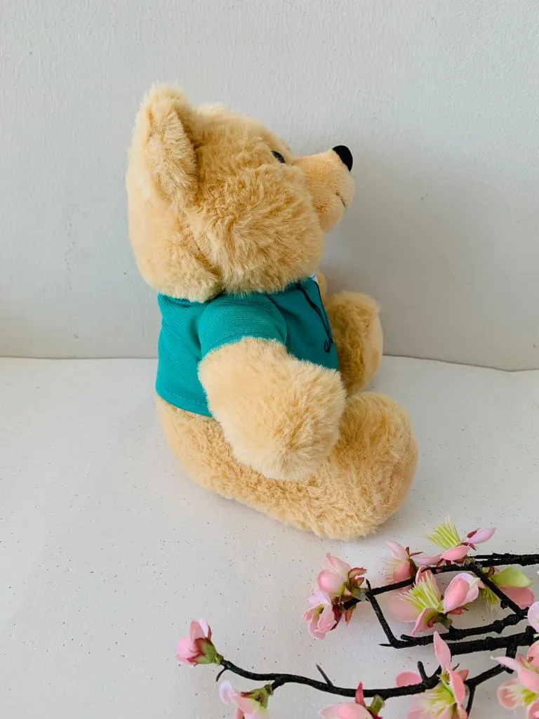 Doctor Bear Teddy Doll