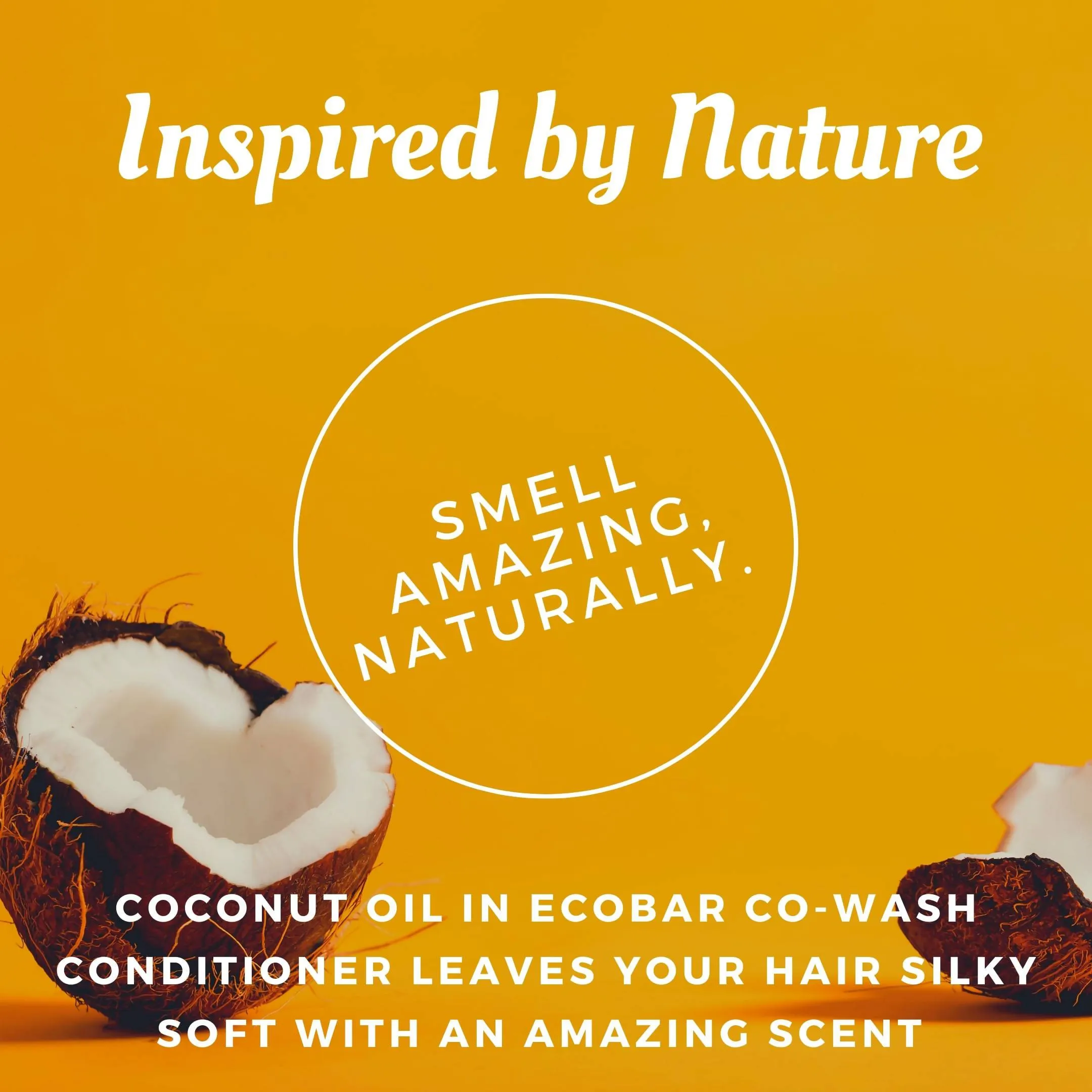 Ecobar Co-Wash Conditioner Bar