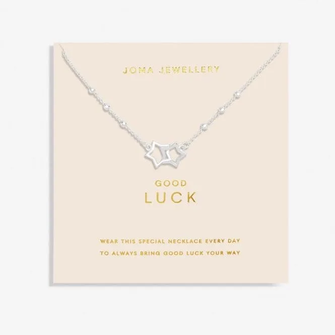 Forever Yours Good Luck Silver Plated 46cm   5cm Necklace 6717