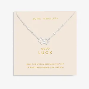 Forever Yours Good Luck Silver Plated 46cm   5cm Necklace 6717