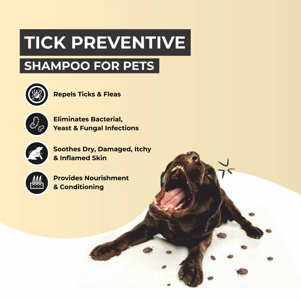 FurBall Story Shampooch Tick Repellent Shampoo for Dogs